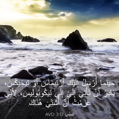 Picture 03 - تِيطُس 3:12 AVD - حِينَمَا أُرْسِلُ - Bible Verse Picture
