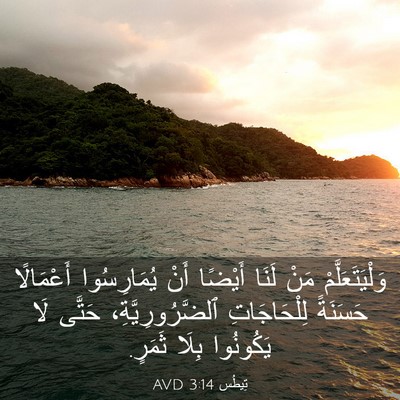 Picture 03 - تِيطُس 3:14 AVD - وَلْيَتَعَلَّمْ مَنْ - Bible Verse Picture