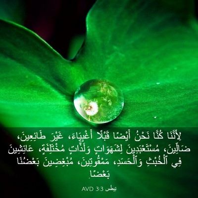 Picture 03 - تِيطُس 3:3 AVD - لِأَنَّنَا كُنَّا نَحْنُ - Bible Verse Picture