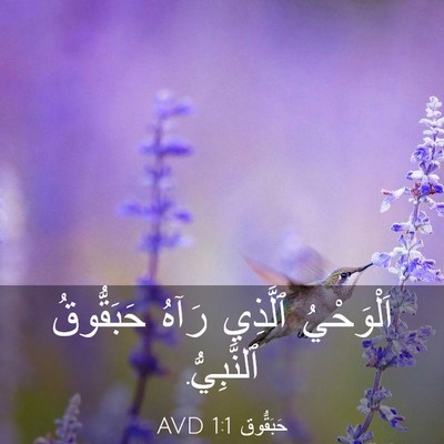 Picture 03 - حَبَقُّوق 1:1 AVD - اَلْوَحْيُ ٱلَّذِي رَآهُ - Bible Verse Picture