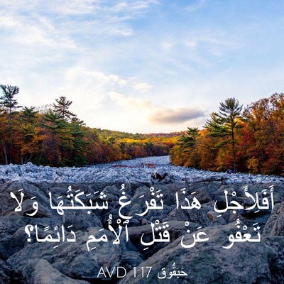 Picture 03 - حَبَقُّوق 1:17 AVD - أَفَلِأَجْلِ هَذَا - Bible Verse Picture