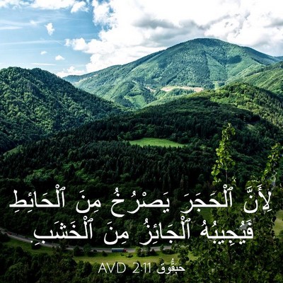 Picture 03 - حَبَقُّوق 2:11 AVD - لِأَنَّ ٱلْحَجَرَ - Bible Verse Picture