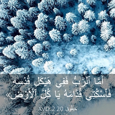 Picture 03 - حَبَقُّوق 2:20 AVD - أَمَّا ٱلرَّبُّ فَفِي - Bible Verse Picture