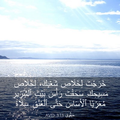 Picture 03 - حَبَقُّوق 3:13 AVD - خَرَجْتَ لِخَلَاصِ - Bible Verse Picture