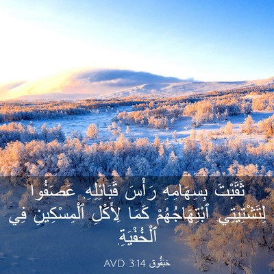 Picture 03 - حَبَقُّوق 3:14 AVD - ثَقَبْتَ بِسِهَامِهِ - Bible Verse Picture
