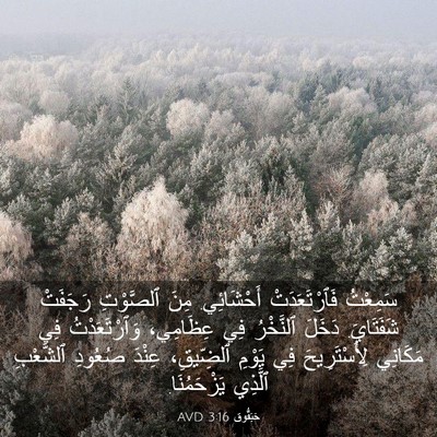 Picture 03 - حَبَقُّوق 3:16 AVD - سَمِعْتُ فَٱرْتَعَدَتْ - Bible Verse Picture