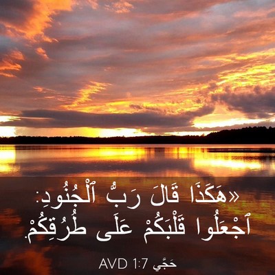 Picture 03 - حَجَّي 1:7 AVD - «هَكَذَا قَالَ رَبُّ - Bible Verse Picture