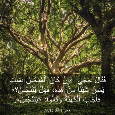Picture 03 - حَجَّي 2:13 AVD - فَقَالَ حَجَّي: «إِنْ - Bible Verse Picture