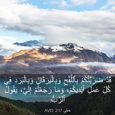 Picture 03 - حَجَّي 2:17 AVD - قَدْ ضَرَبْتُكُمْ - Bible Verse Picture