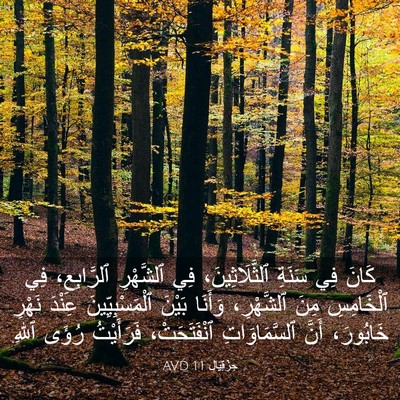 Picture 03 - حِزْقِيَال 1:1 AVD - كَانَ فِي سَنَةِ - Bible Verse Picture