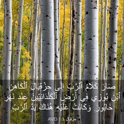 Picture 03 - حِزْقِيَال 1:3 AVD - صَارَ كَلَامُ ٱلرَّبِّ - Bible Verse Picture