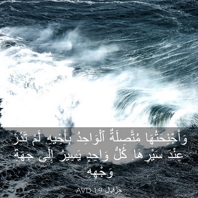 Picture 03 - حِزْقِيَال 1:9 AVD - وَأَجْنِحَتُهَا - Bible Verse Picture