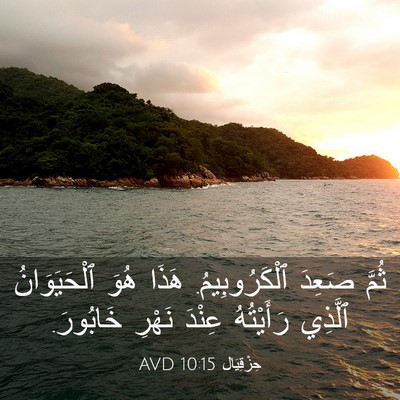 Picture 03 - حِزْقِيَال 10:15 AVD - ثُمَّ صَعِدَ - Bible Verse Picture