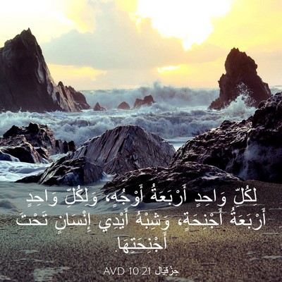 Picture 03 - حِزْقِيَال 10:21 AVD - لِكُلِّ وَاحِدٍ - Bible Verse Picture