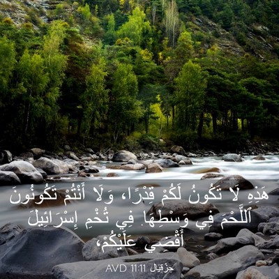 Picture 03 - حِزْقِيَال 11:11 AVD - هَذِهِ لَا تَكُونُ لَكُمْ - Bible Verse Picture