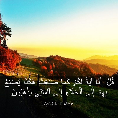 Picture 03 - حِزْقِيَال 12:11 AVD - قُلْ: أَنَا آيَةٌ لَكُمْ. - Bible Verse Picture