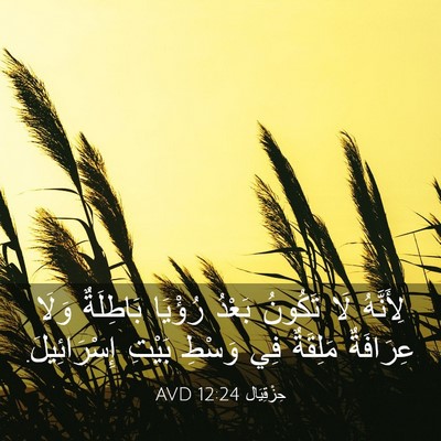 Picture 03 - حِزْقِيَال 12:24 AVD - لِأَنَّهُ لَا تَكُونُ - Bible Verse Picture