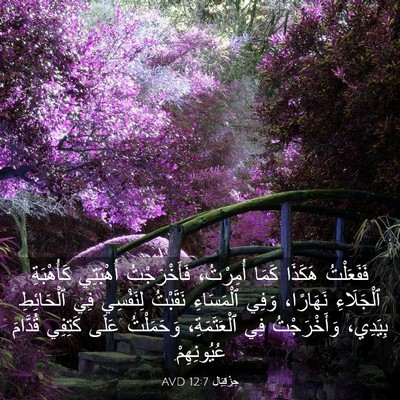 Picture 03 - حِزْقِيَال 12:7 AVD - فَفَعَلْتُ هَكَذَا كَمَا - Bible Verse Picture
