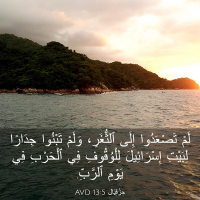 Picture 03 - حِزْقِيَال 13:5 AVD - لَمْ تَصْعَدُوا إِلَى - Bible Verse Picture