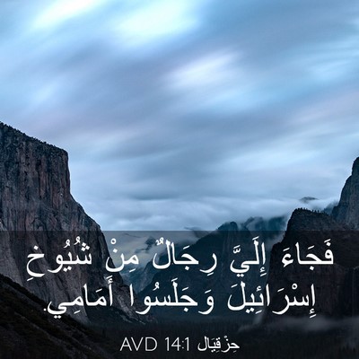 Picture 03 - حِزْقِيَال 14:1 AVD - فَجَاءَ إِلَيَّ رِجَالٌ - Bible Verse Picture