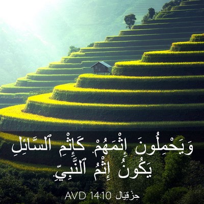 Picture 03 - حِزْقِيَال 14:10 AVD - وَيَحْمِلُونَ إِثْمَهُمْ. - Bible Verse Picture