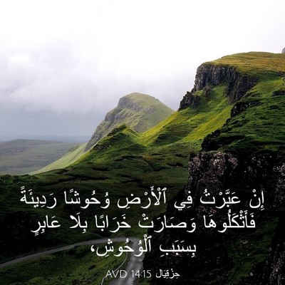 Picture 03 - حِزْقِيَال 14:15 AVD - إِنْ عَبَّرْتُ فِي - Bible Verse Picture