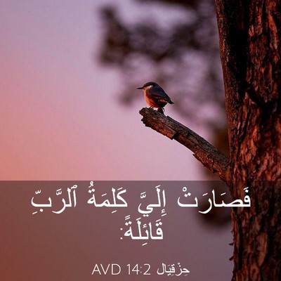 Picture 03 - حِزْقِيَال 14:2 AVD - فَصَارَتْ إِلَيَّ - Bible Verse Picture
