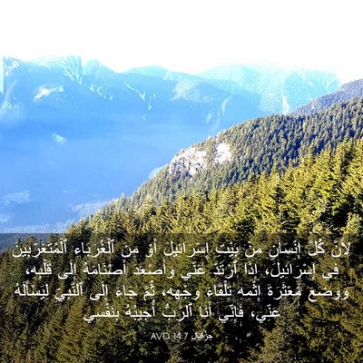 Picture 03 - حِزْقِيَال 14:7 AVD - لِأَنَّ كُلَّ إِنْسَانٍ - Bible Verse Picture