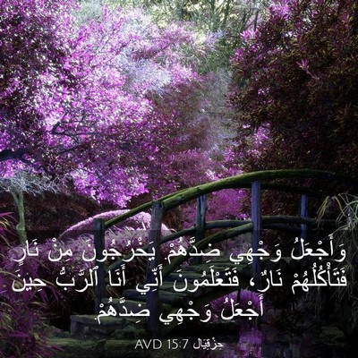 Picture 03 - حِزْقِيَال 15:7 AVD - وَأَجْعَلُ وَجْهِي - Bible Verse Picture
