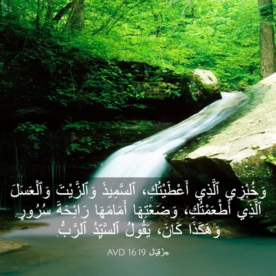 Picture 03 - حِزْقِيَال 16:19 AVD - وَخُبْزِي ٱلَّذِي - Bible Verse Picture