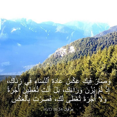 Picture 03 - حِزْقِيَال 16:34 AVD - وَصَارَ فِيكِ عَكْسُ - Bible Verse Picture