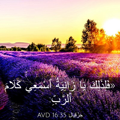 Picture 03 - حِزْقِيَال 16:35 AVD - «فَلِذَلِكَ يَا زَانِيَةُ - Bible Verse Picture