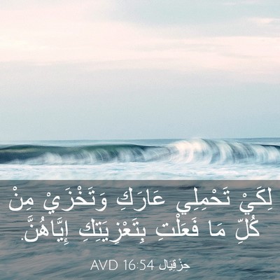 Picture 03 - حِزْقِيَال 16:54 AVD - لِكَيْ تَحْمِلِي عَارَكِ - Bible Verse Picture