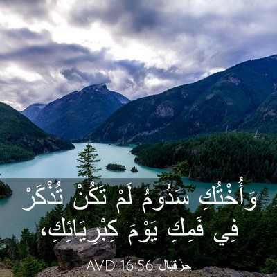 Picture 03 - حِزْقِيَال 16:56 AVD - وَأُخْتُكِ سَدُومُ لَمْ - Bible Verse Picture