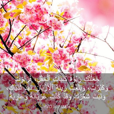 Picture 03 - حِزْقِيَال 16:7 AVD - جَعَلْتُكِ رَبْوَةً - Bible Verse Picture