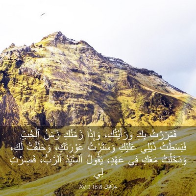 Picture 03 - حِزْقِيَال 16:8 AVD - فَمَرَرْتُ بِكِ - Bible Verse Picture