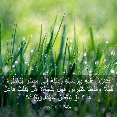 Picture 03 - حِزْقِيَال 17:15 AVD - فَتَمَرَّدَ عَلَيْهِ - Bible Verse Picture
