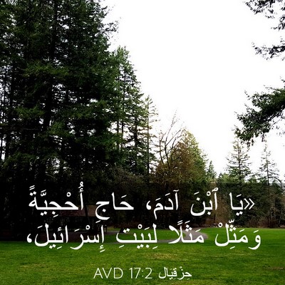 Picture 03 - حِزْقِيَال 17:2 AVD - «يَا ٱبْنَ آدَمَ، حَاجِ - Bible Verse Picture