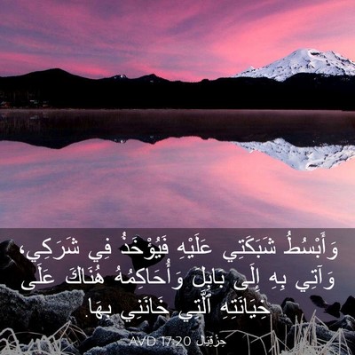 Picture 03 - حِزْقِيَال 17:20 AVD - وَأَبْسُطُ شَبَكَتِي - Bible Verse Picture