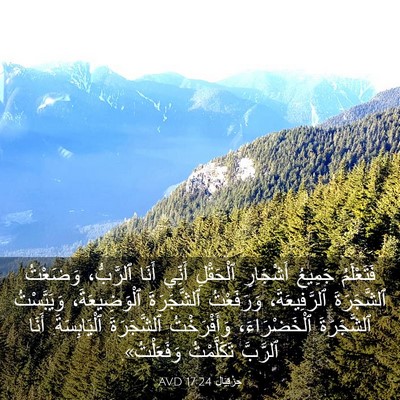 Picture 03 - حِزْقِيَال 17:24 AVD - فَتَعْلَمُ جَمِيعُ - Bible Verse Picture