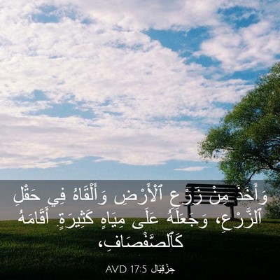 Picture 03 - حِزْقِيَال 17:5 AVD - وَأَخَذَ مِنْ زَرْعِ - Bible Verse Picture