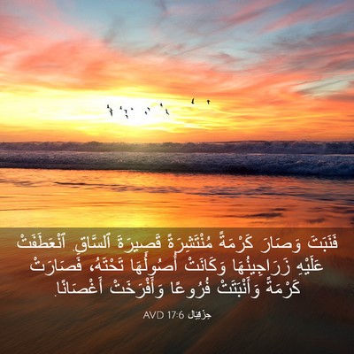Picture 03 - حِزْقِيَال 17:6 AVD - فَنَبَتَ وَصَارَ كَرْمَةً - Bible Verse Picture