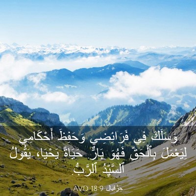 Picture 03 - حِزْقِيَال 18:9 AVD - وَسَلَكَ فِي فَرَائِضِي - Bible Verse Picture