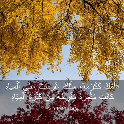 Picture 03 - حِزْقِيَال 19:10 AVD - «أُمُّكَ كَكَرْمَةٍ، - Bible Verse Picture