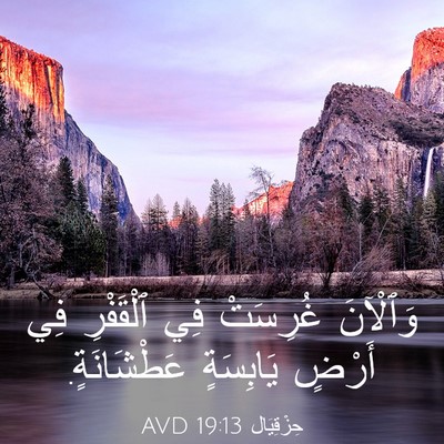 Picture 03 - حِزْقِيَال 19:13 AVD - وَٱلْآنَ غُرِسَتْ فِي - Bible Verse Picture