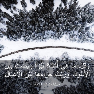 Picture 03 - حِزْقِيَال 19:2 AVD - وَقُلْ: مَا هِيَ أُمُّكَ؟ - Bible Verse Picture