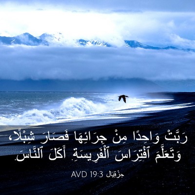 Picture 03 - حِزْقِيَال 19:3 AVD - رَبَّتْ وَاحِدًا مِنْ - Bible Verse Picture