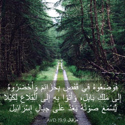 Picture 03 - حِزْقِيَال 19:9 AVD - فَوَضَعُوهُ فِي قَفَصٍ - Bible Verse Picture