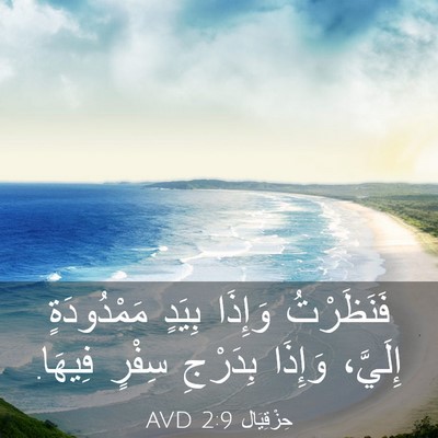 Picture 03 - حِزْقِيَال 2:9 AVD - فَنَظَرْتُ وَإِذَا بِيَدٍ - Bible Verse Picture