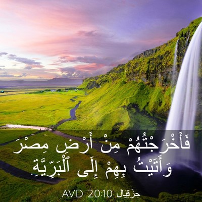 Picture 03 - حِزْقِيَال 20:10 AVD - فَأَخْرَجْتُهُمْ مِنْ - Bible Verse Picture